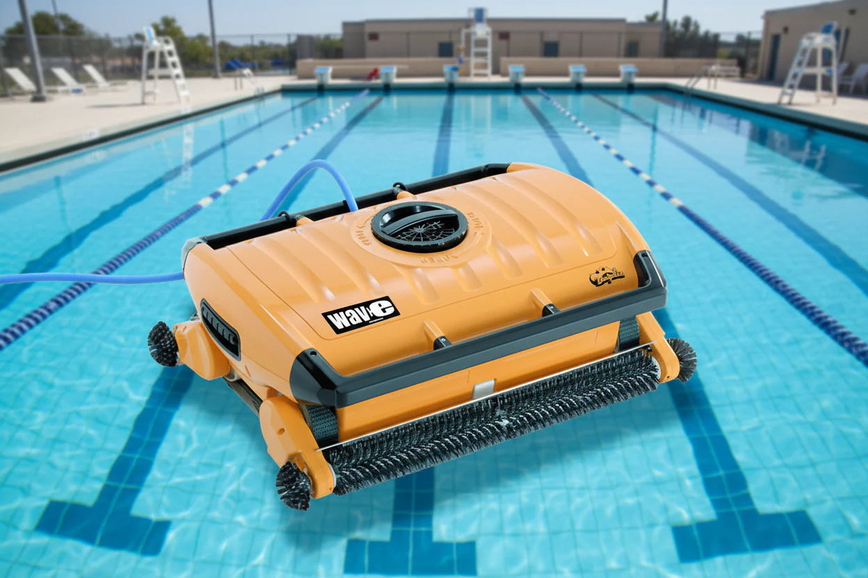 dolphin_wave_300_medencepont
